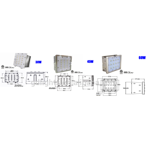 30W Modular Design 60-180W LED Canopy Lamp (UL DLC Listed)